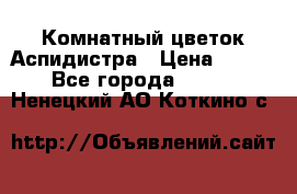 Комнатный цветок Аспидистра › Цена ­ 150 - Все города  »    . Ненецкий АО,Коткино с.